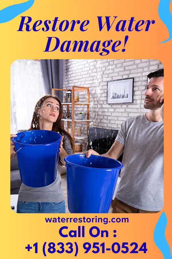 water restoration Ironclad Flood Mitigation Experts Rena Lara